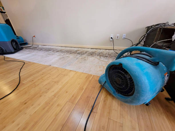 Professional Structural Drying technician working in Chester, SC